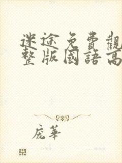 迷途免费观看完整版国语高清在线