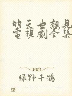 明天也想见到你电视剧全集免费