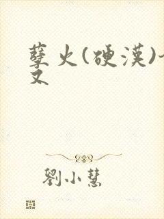 孽火(硬汉)今又