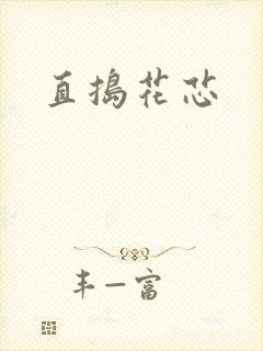 直捣花芯封面