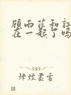 顾雨菲和许忠义在一起了吗