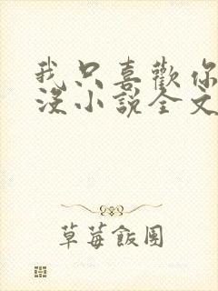 我只喜欢你的人没小说全文免费阅读