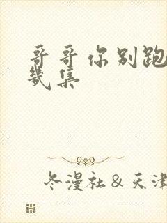 哥哥你别跑一共几集封面