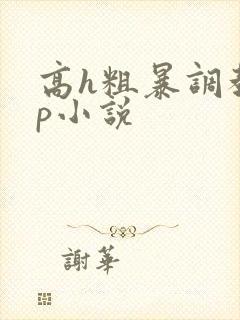 高h粗暴调教np小说