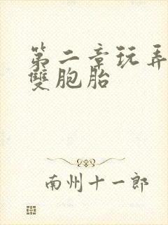 第二章玩弄校花双胞胎