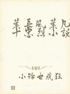 叶长风叶凡一门十忠烈小说名字