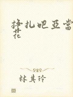 挣扎吧亚当君樱花