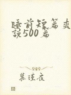睡前短篇爽文小说500篇