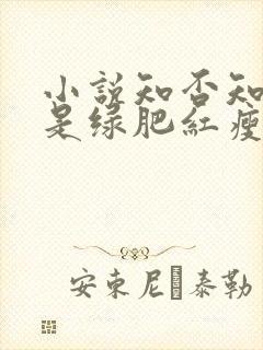 小说知否知否应是绿肥红瘦免费阅读