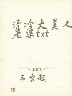 清冷大美人是我老婆txt封面