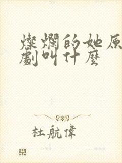 灿烂的她原版韩剧叫什么封面