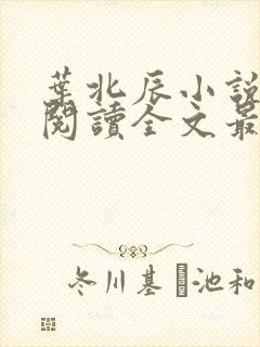 叶北辰小说免费阅读全文最新章节