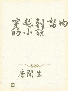 穿越到胬肉系统的小说封面