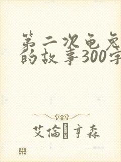 第二次龟兔赛跑的故事300字