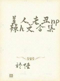 美人老丑np高辣h文合集