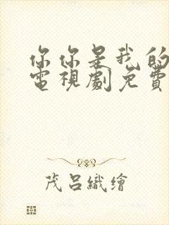 你你是我的荣耀电视剧免费观看封面