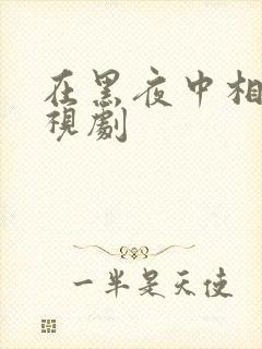 在黑夜中相拥电视剧