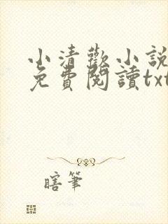 小清欢小说全文免费阅读txt