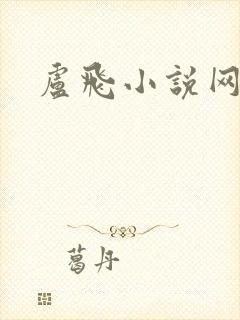 卢飞小说网