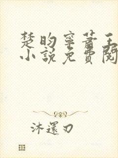 楚昀宁萧王穿越小说免费阅读无弹窗封面