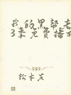 我的黑帮老大第3季免费播放在线观看