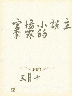 官场小说主角叫李霖的