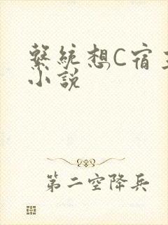 系统想C宿主的小说