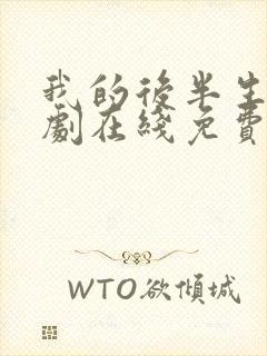 我的后半生电视剧在线免费观看封面