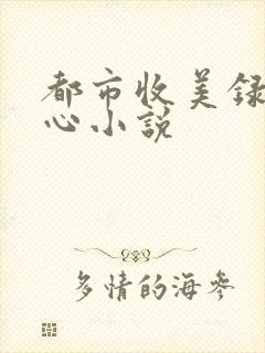 都市收美录宁素心小说