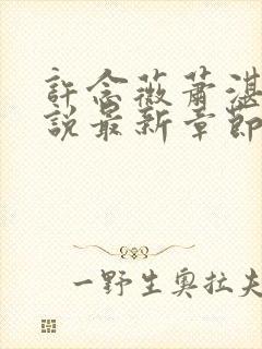 许念薇萧湛明小说最新章节免费阅读