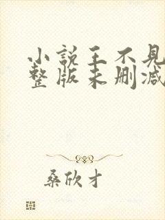 小说王不见王完整版未删减小说