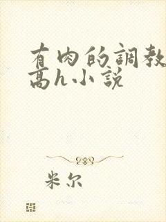 有肉的调教np高h小说