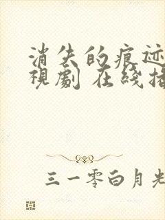 消失的痕迹 电视剧 在线播放免费