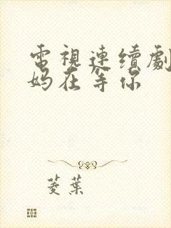 电视连续剧:妈妈在等你