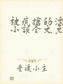 被疯抢的漂亮攻小说全文免费阅读无弹窗