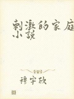 刺激的家庭乱仑小说封面