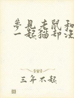 梦见老鼠和猫在一起猫却没有捉老鼠