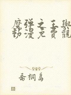 魔弹之王与战姬动漫免费观看完整版