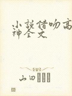 小说错吻高冷男神全文