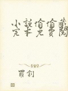 小说偷偷藏不住完本免费阅读封面