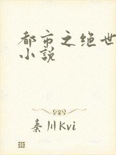 都市之绝世战神小说