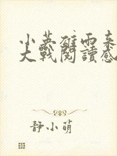 小英雄雨来一场大战阅读感想封面