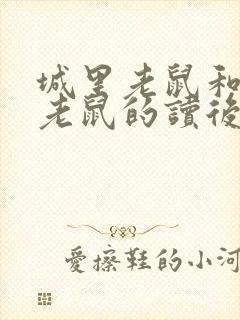 城里老鼠和乡里老鼠的读后感