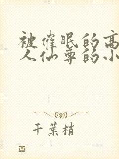 被催眠的高冷美人仙尊的小说黄蛮