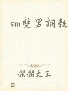 sm双男调教文