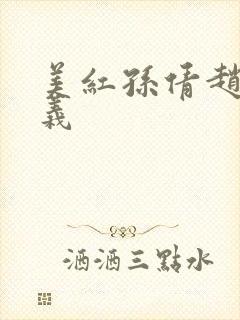 美红孙倩赵敏高义