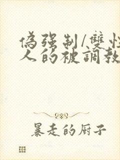 伪强制/双性美人的被调教简白