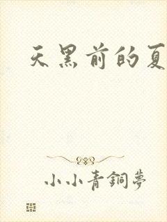 天黑前的夏天封面