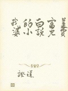 我的白富美的老婆小说免费阅读全集