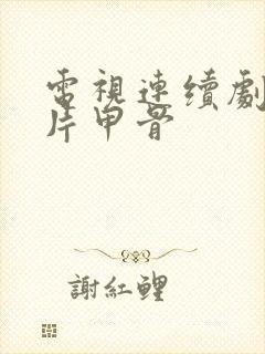 电视连续剧第四片甲骨封面